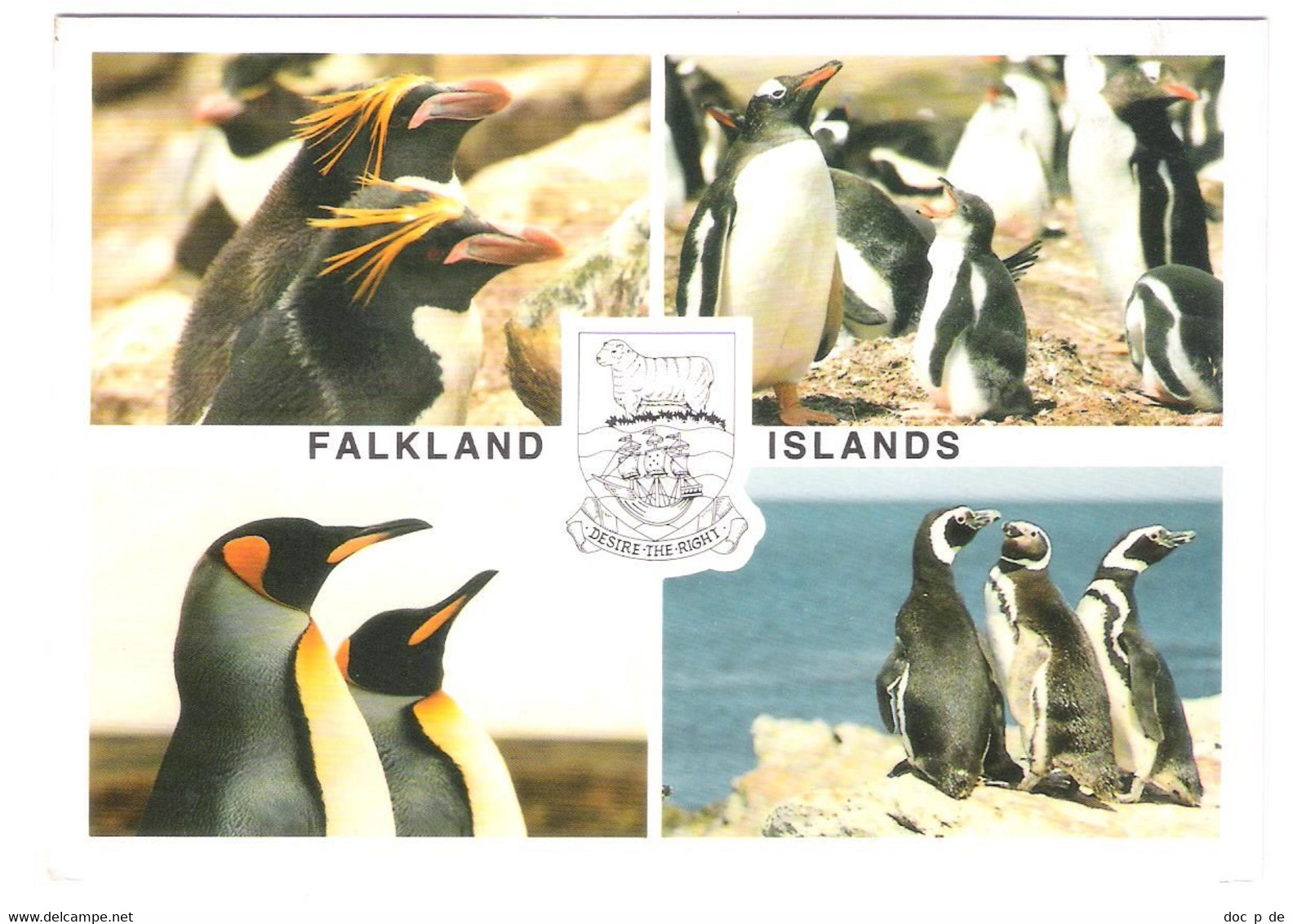 Falkland Islands - Penguin - Pinguin - Nice Stamp Stamps Timbre - Falkland Islands