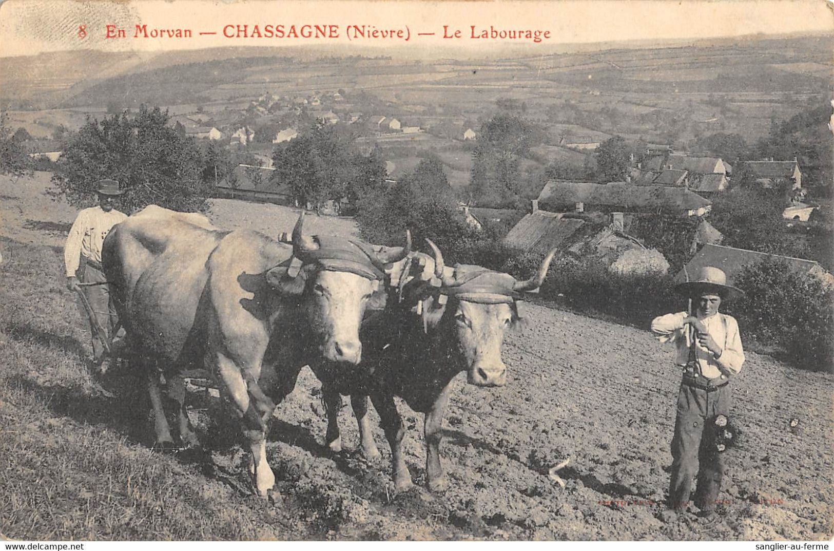 CPA 58 CHASSAGNE LE LABOURAGE / AGRICULTURE - Other & Unclassified