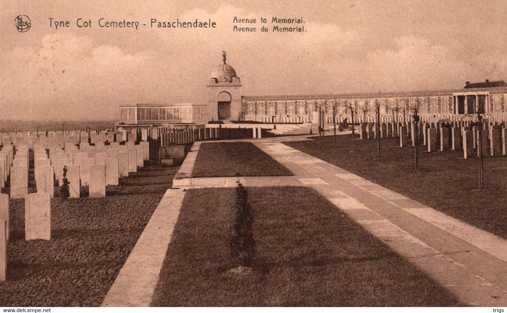 Passchendaele (Tyne Cot Cemetery And Memorial) - Avenue To Memorial - Zonnebeke