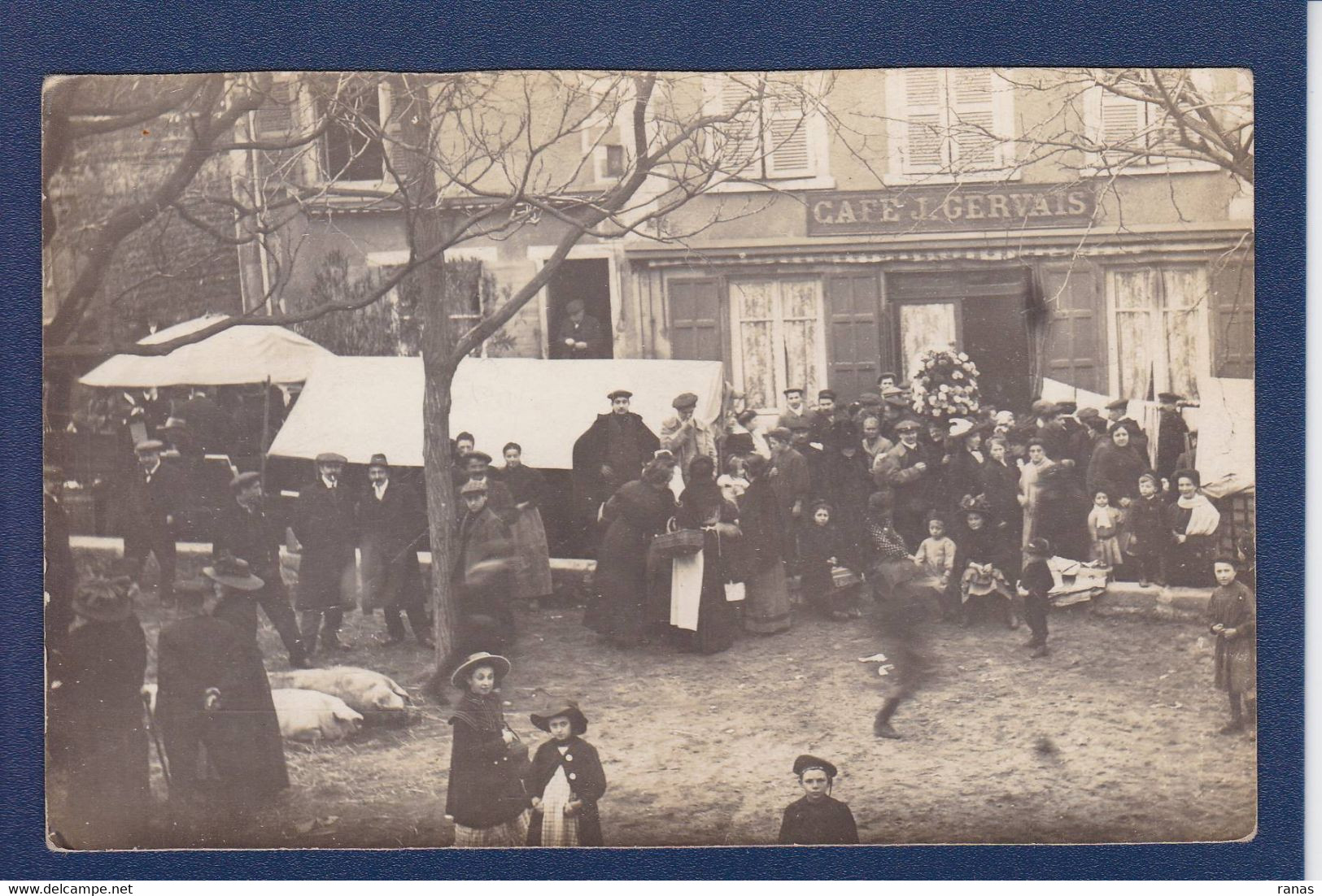 CPA [69] Rhône > Givors Carte Photo Marché Aux Cochons Pig Voir Dos - Givors