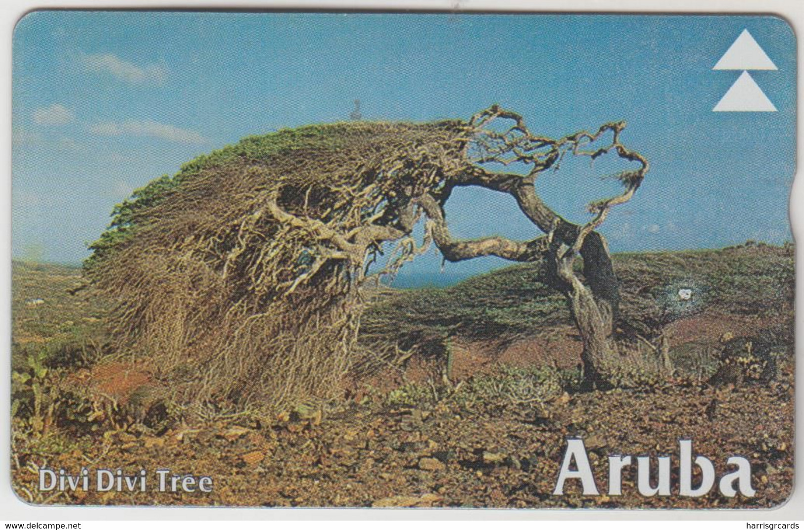 ARUBA (L&G)- Divi Divi Tree II (Printed Reverse) , CN: 511A, 20 U, Used - Aruba