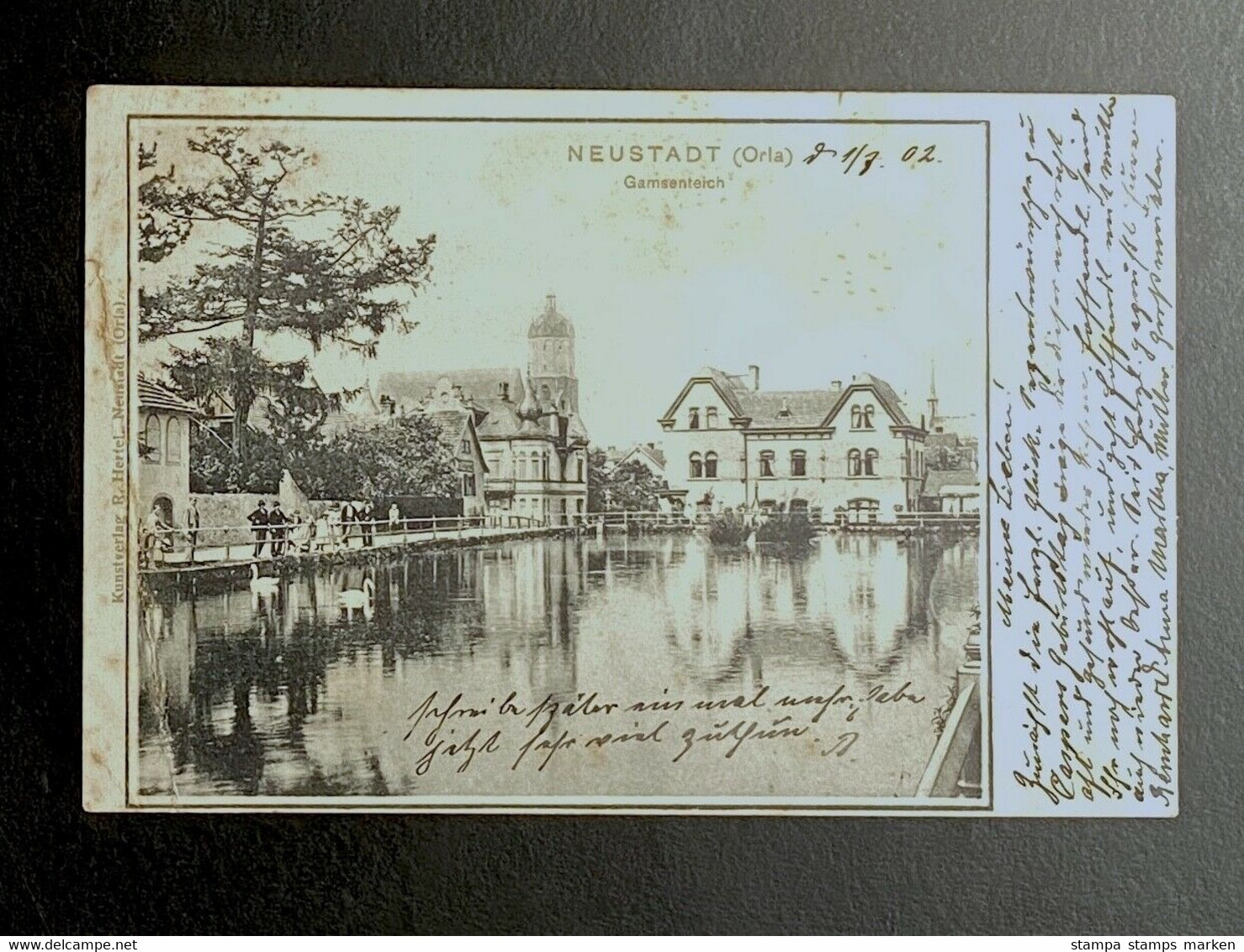 AK NEUSTADT (ORLA) Gamsenteich Gestempelt Neustadt 1902 (Bug Siehe Bild !) - Neustadt / Orla