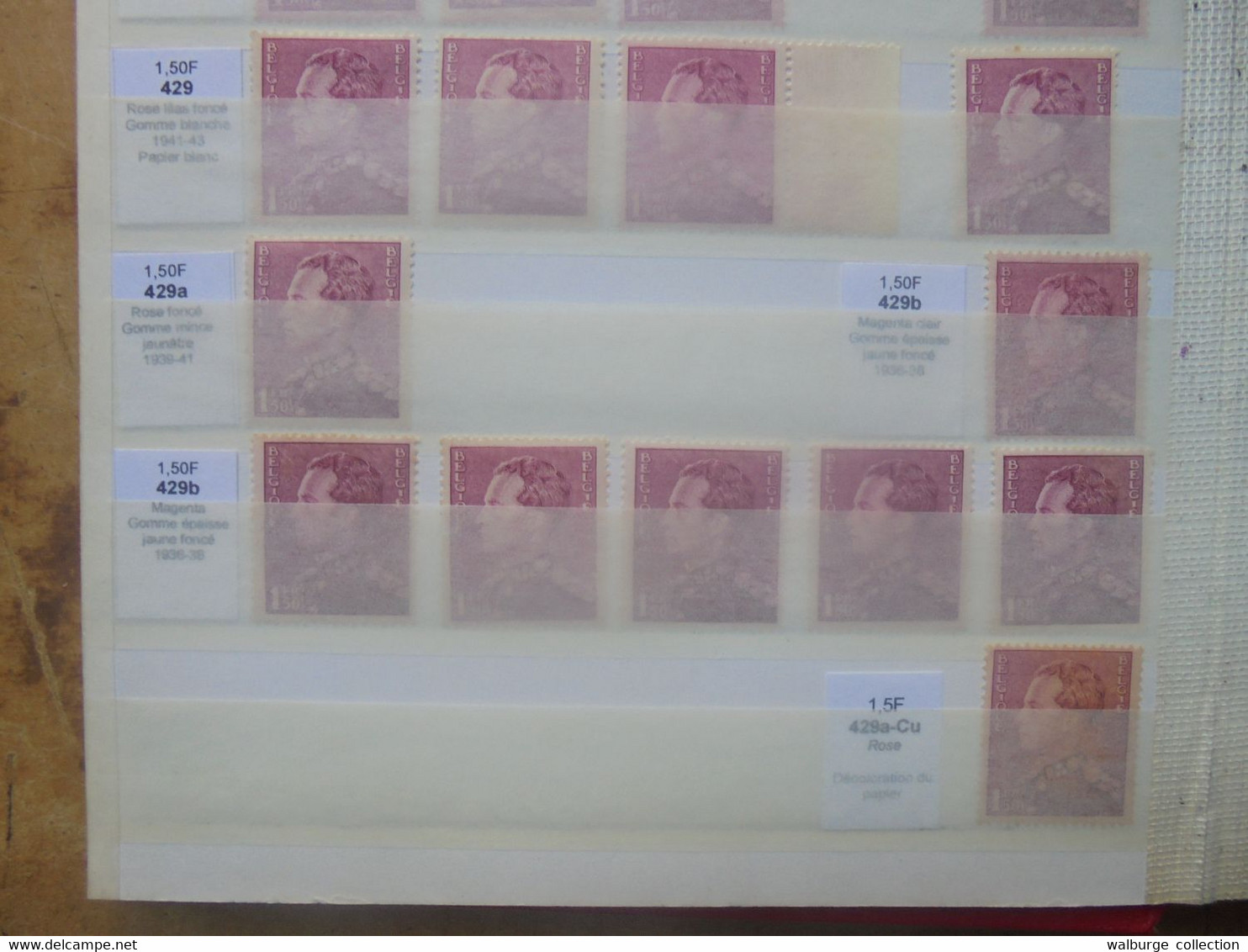 BELGIQUE "POORTMAN" BELLE ETUDE MAJORITES NEUVE XX  (RH.10) 600 Grammes - Collections