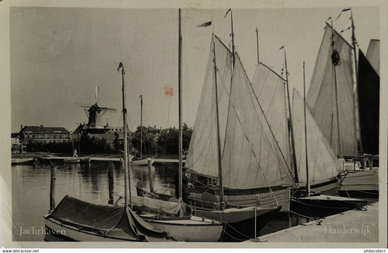 Harderwijk // Jachthaven Met Molen Zicht 1955 - Harderwijk