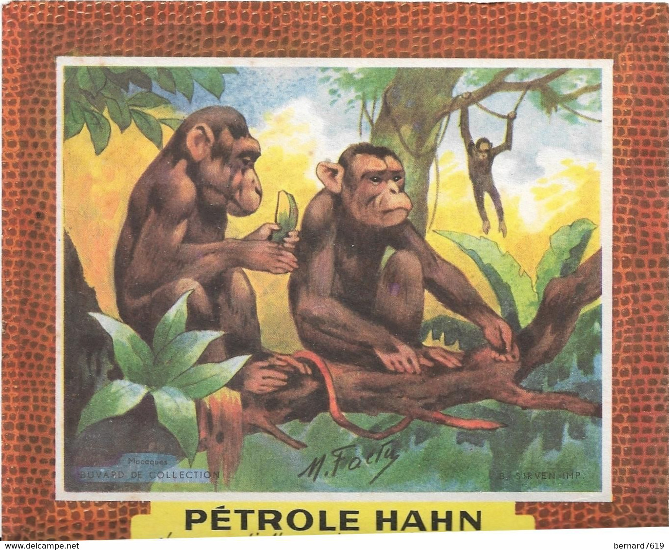 Buvard   Petrole Hahn -   - Singe - Animales