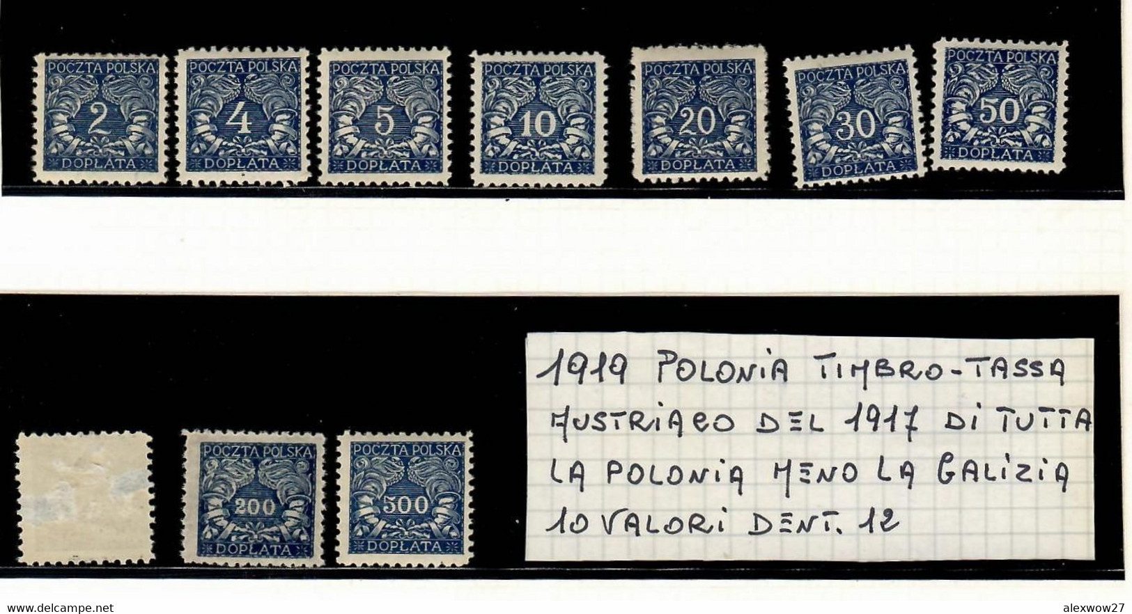 Polonia 1919 -- Servizi -- ( Unif.13/21) * MLH - Service