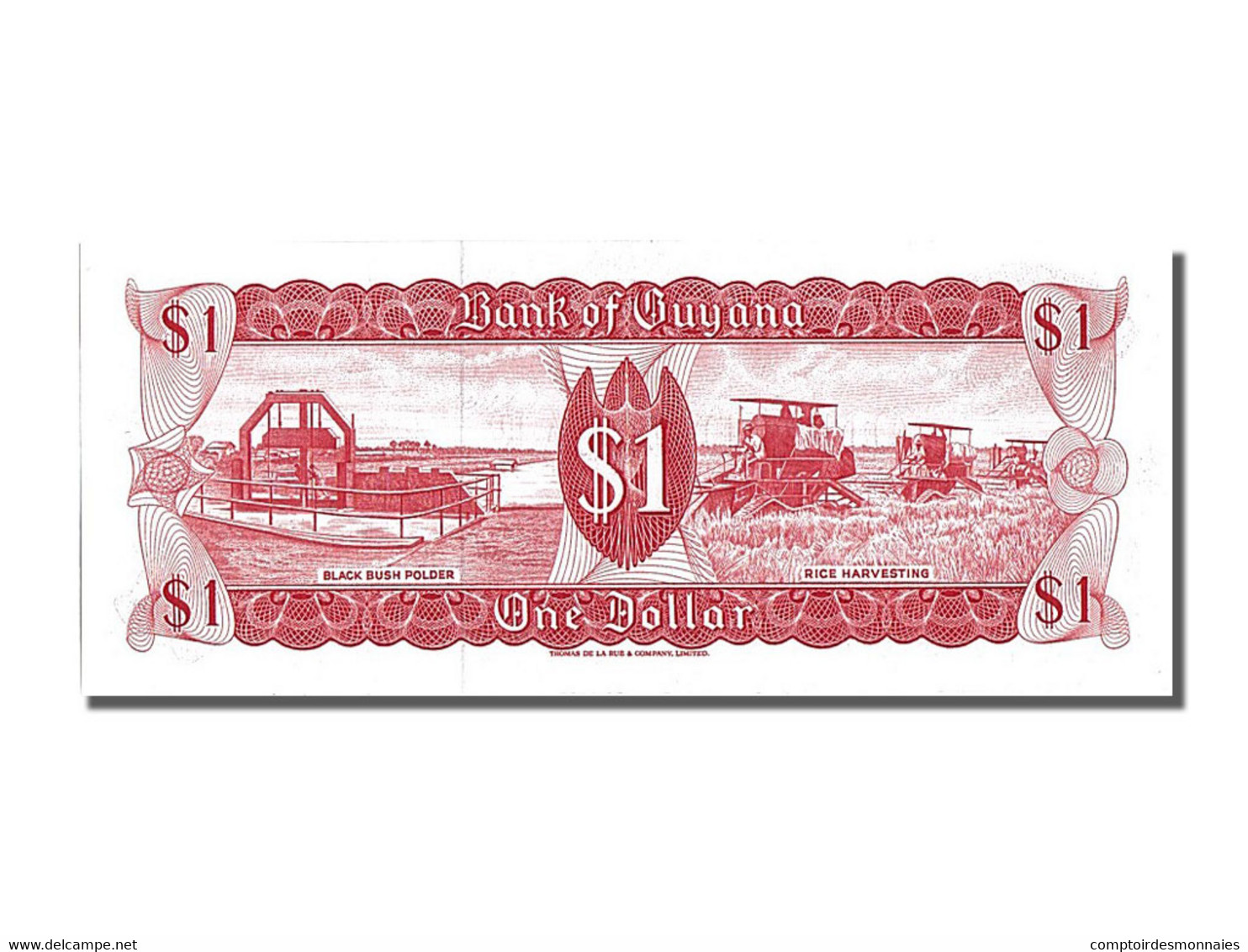 Billet, Guyana, 1 Dollar, NEUF - Guyana