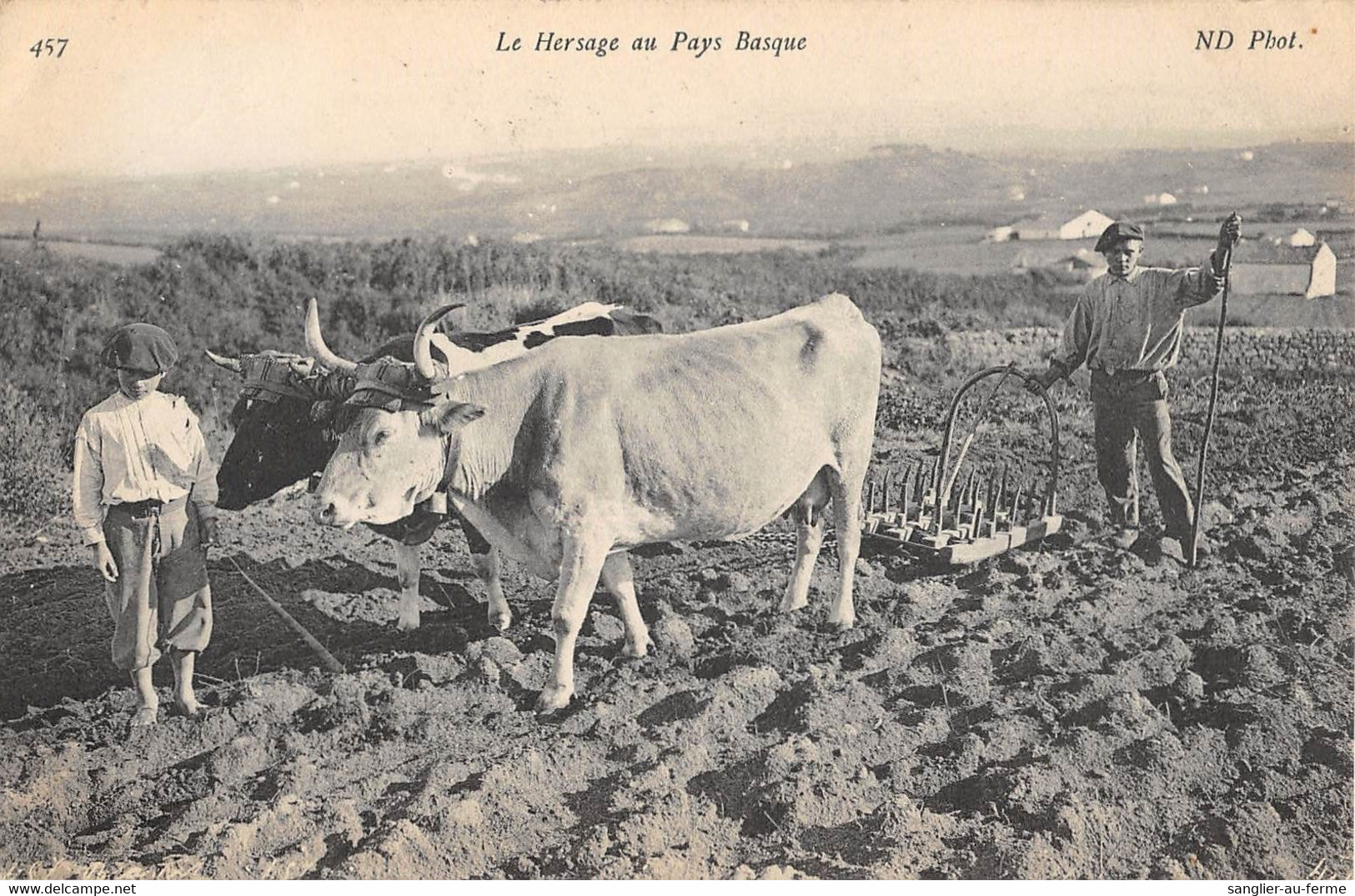 CPA 64 LE HERSAGE AU PAYS BASQUE / AGRICULTURE - Altri & Non Classificati