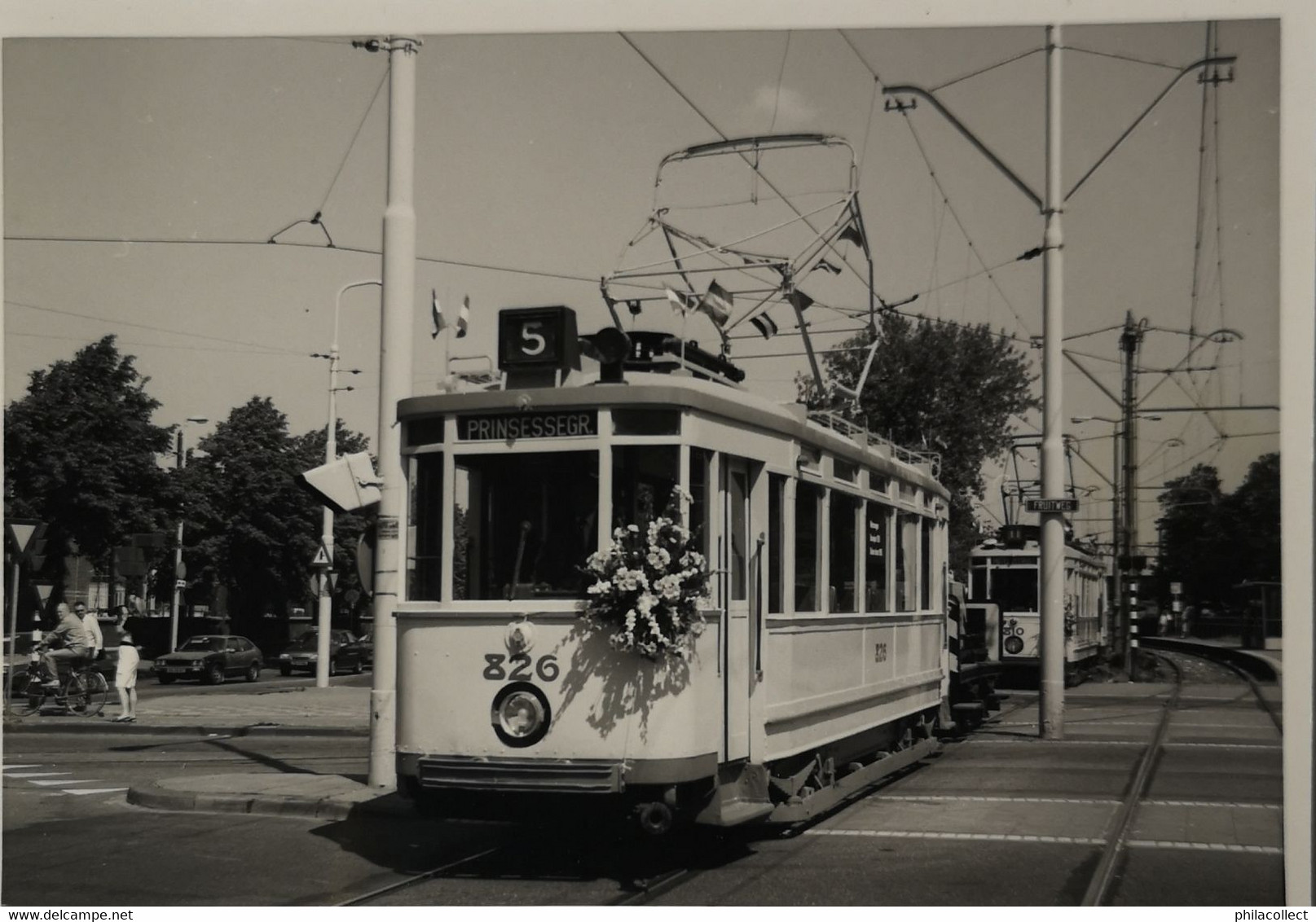 Den Haag ( 's Gravenhage)  Echte  Foto Geen Kaart! 12.5 X 9 Cm / Tram Lijn 5 En 11. Fruitweg   19?? - Den Haag ('s-Gravenhage)