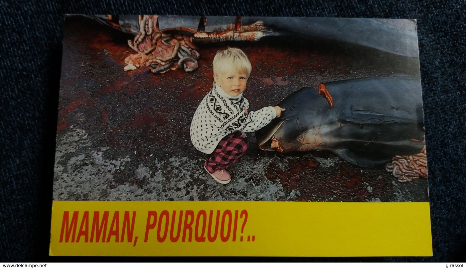 CPM MAMAN POURQUOI ? ENFANT DAUPHIN MORT ILES FEROE BALEINES ET DAUPHINS MASSACRES PETITION 1 ER MINISTRE DANNEMARK - Delfines