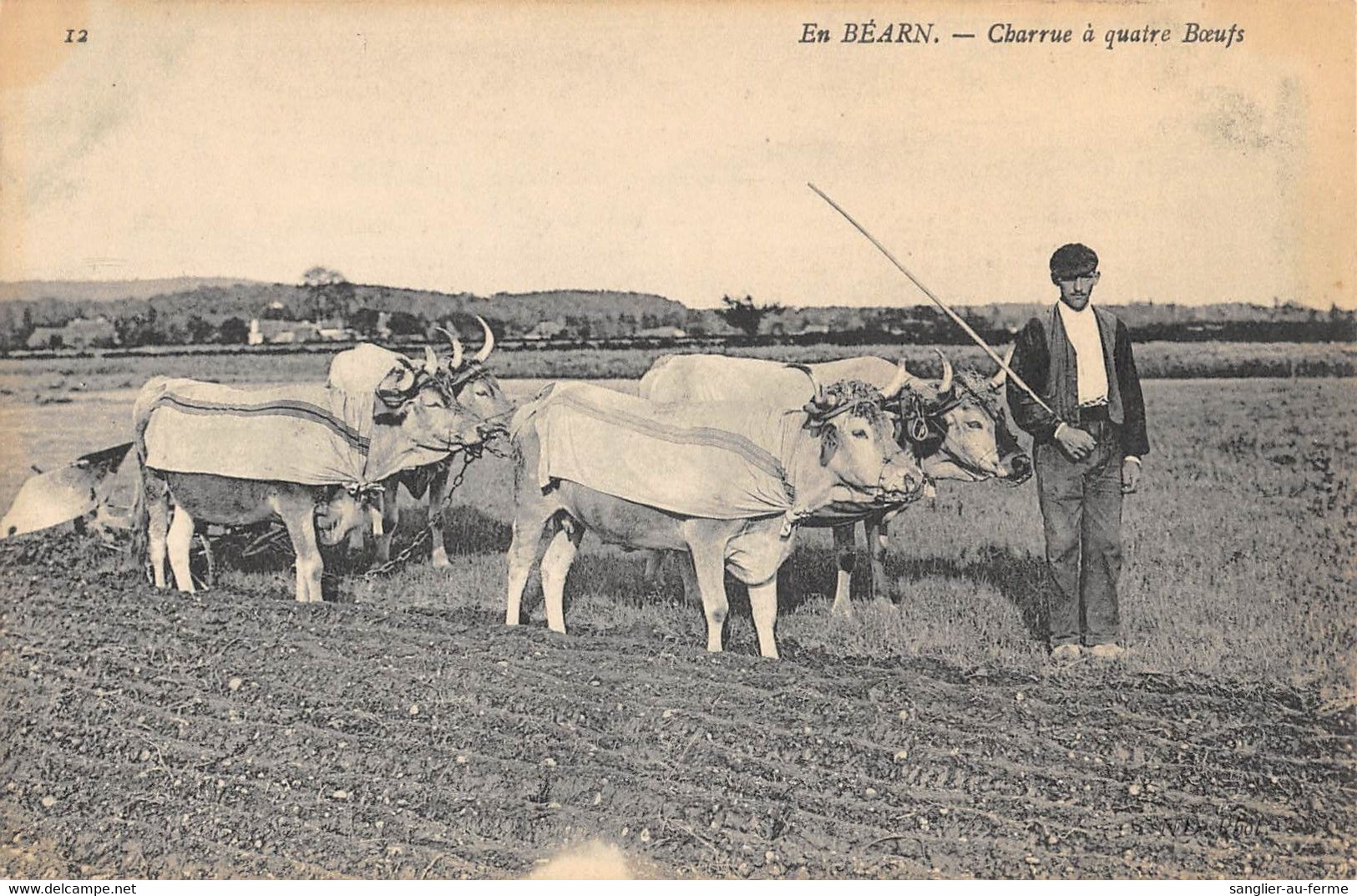 CPA 64 EN BEARN CHARRUE A 4 BOEUFS/ AGRICULTURE - Autres & Non Classés