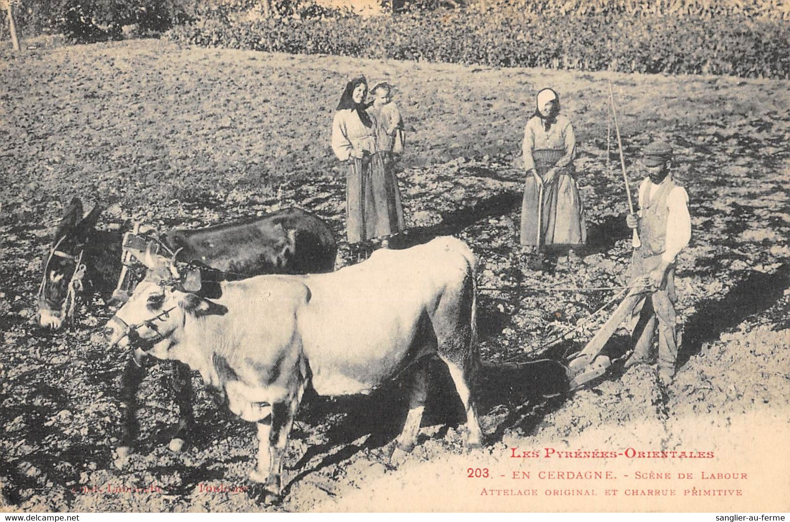 CPA 66 PYRENEES ORIENTALES SCENE DE LABOUR EN CERDAGNE ATTELAGE ORIGINAL ET CHARRUE PRIMITIVE / AGRICULTURE - Autres & Non Classés