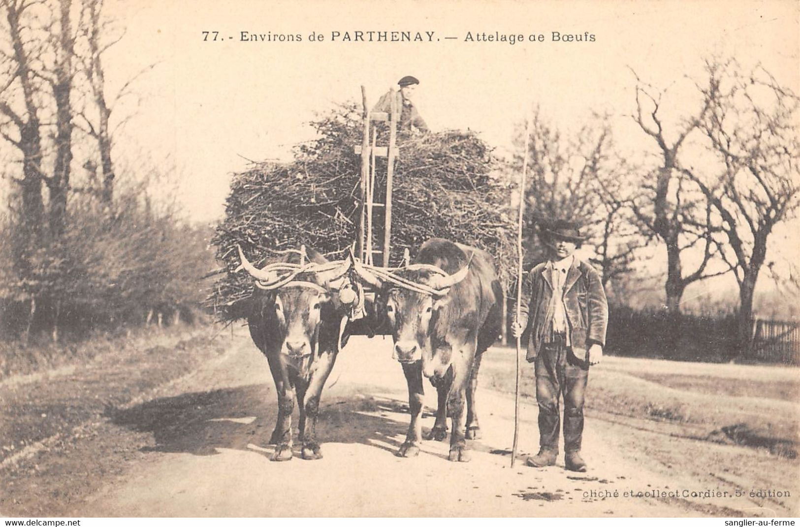 CPA 79 ENVIRONS DE PARTHENAY ATTELAGE DE BOEUFS - Andere & Zonder Classificatie