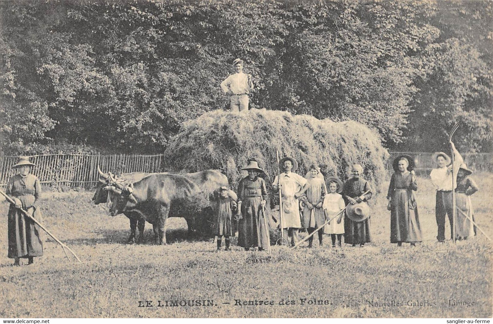 CPA 87 LE LIMOUSIN RENTREE DES FOINS / AGRICULTURE - Altri & Non Classificati