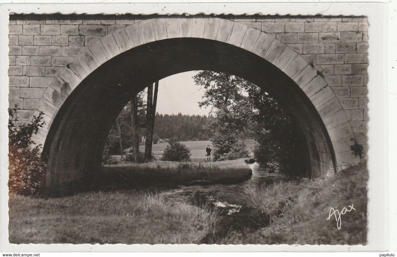 DEPT 43 : édit. Garnier Royer N° 324 : Montfaucon Du Velay Le Pont De Rochette Et Le Bois Des Blondes - Montfaucon En Velay