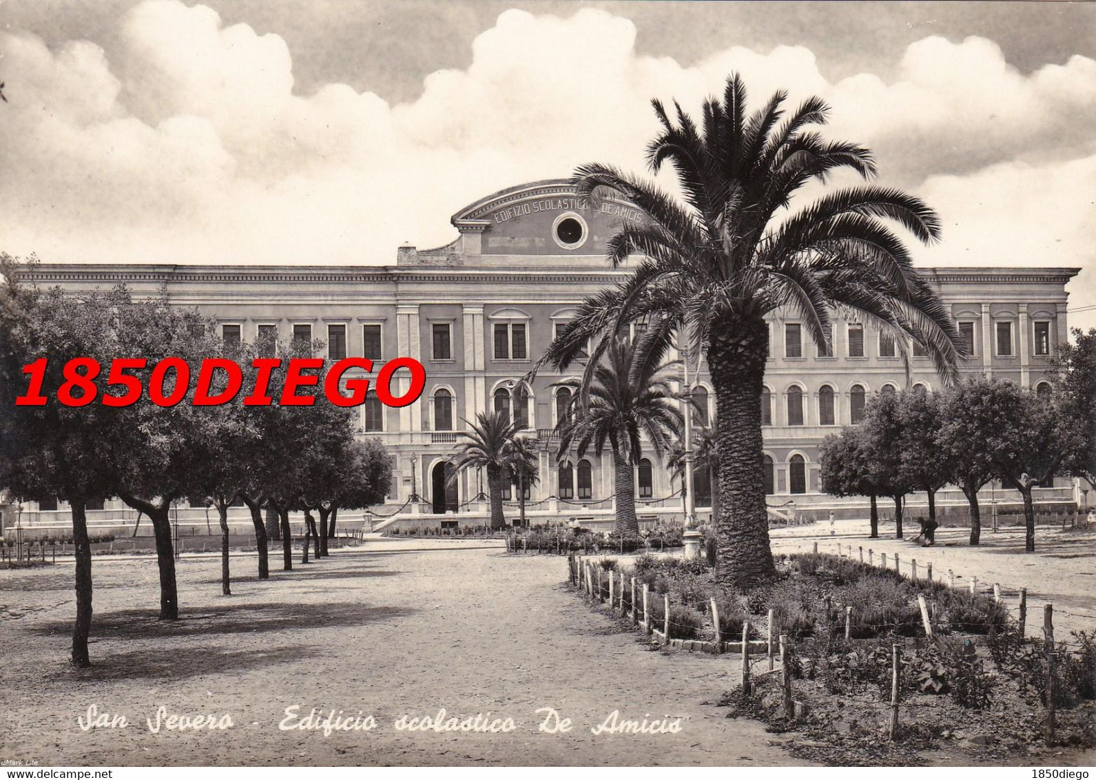 SAN SEVERO - EDIFICIO SCOLASTICO DE AMICIS  F/GRANDE VIAGGIATA 1960 ANIMATA - San Severo