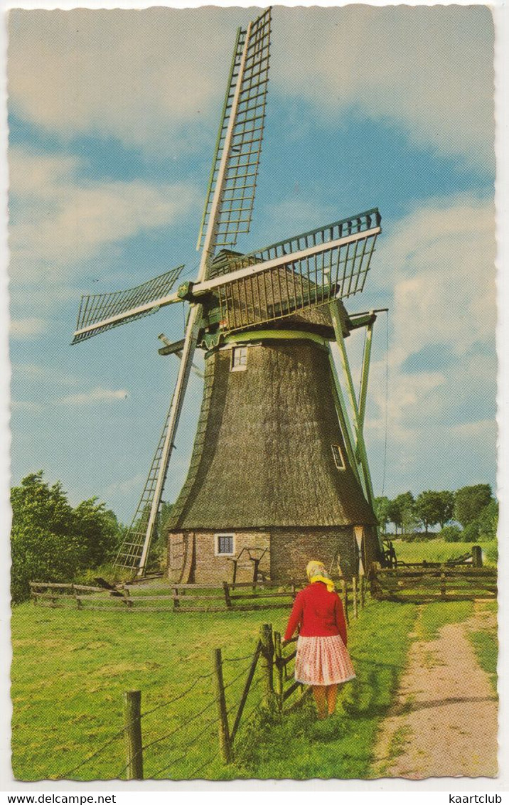 Wolvega, Molen Aan De Linde - (Friesland, Nederland/Holland) - Moulin/Mill/Mühle - Wolvega