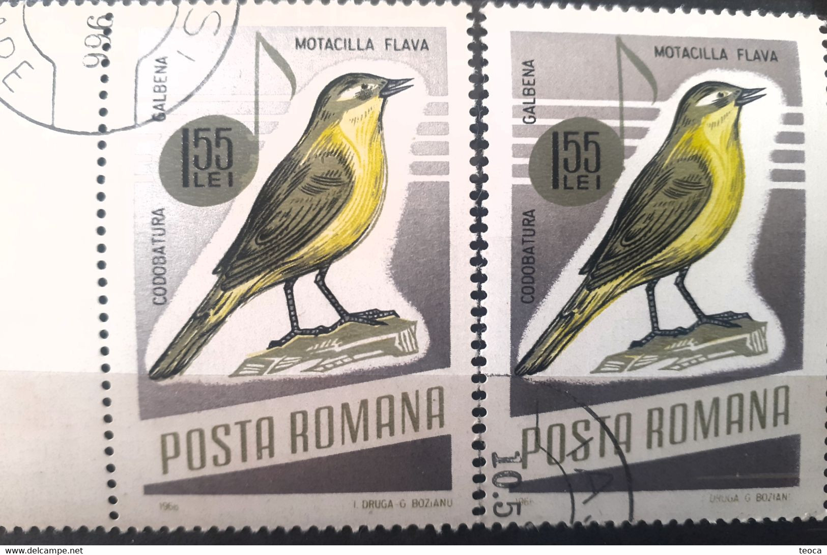 Errors Romania 1966 # MI 2506 Printed With  Plumage Error Displaced Bird - Variedades Y Curiosidades