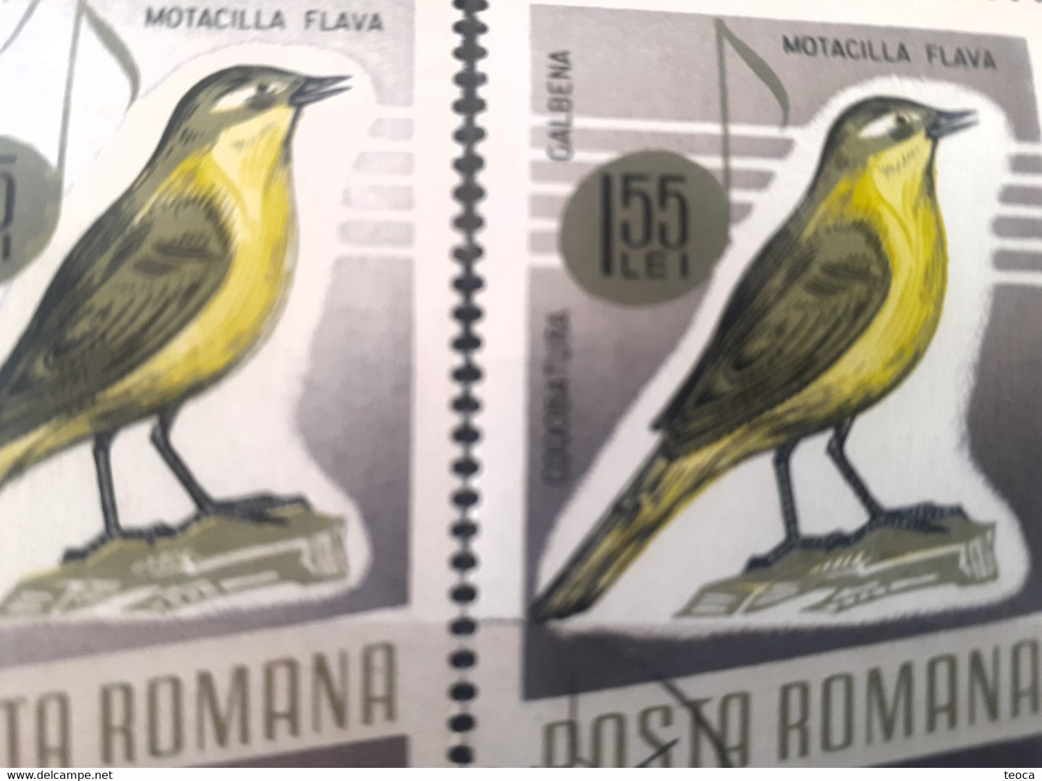 Errors Romania 1966 # MI 2506 Printed With  Plumage Error Displaced Bird - Errors, Freaks & Oddities (EFO)