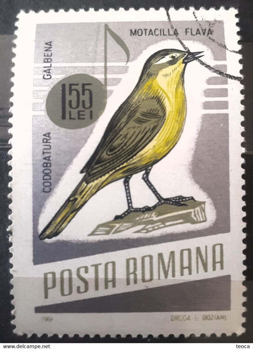 Errors Romania 1966 # MI 2506 Printed With  Vertical Line Songbird - Abarten Und Kuriositäten