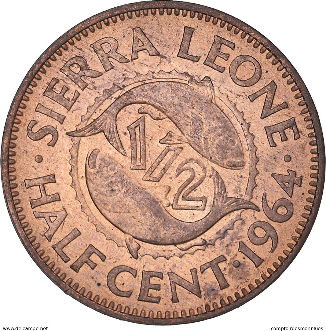 Monnaie, Sierra Leone, 1/2 Cent, 1964, British Royal Mint, SUP+, Bronze, KM:16 - Sierra Leone