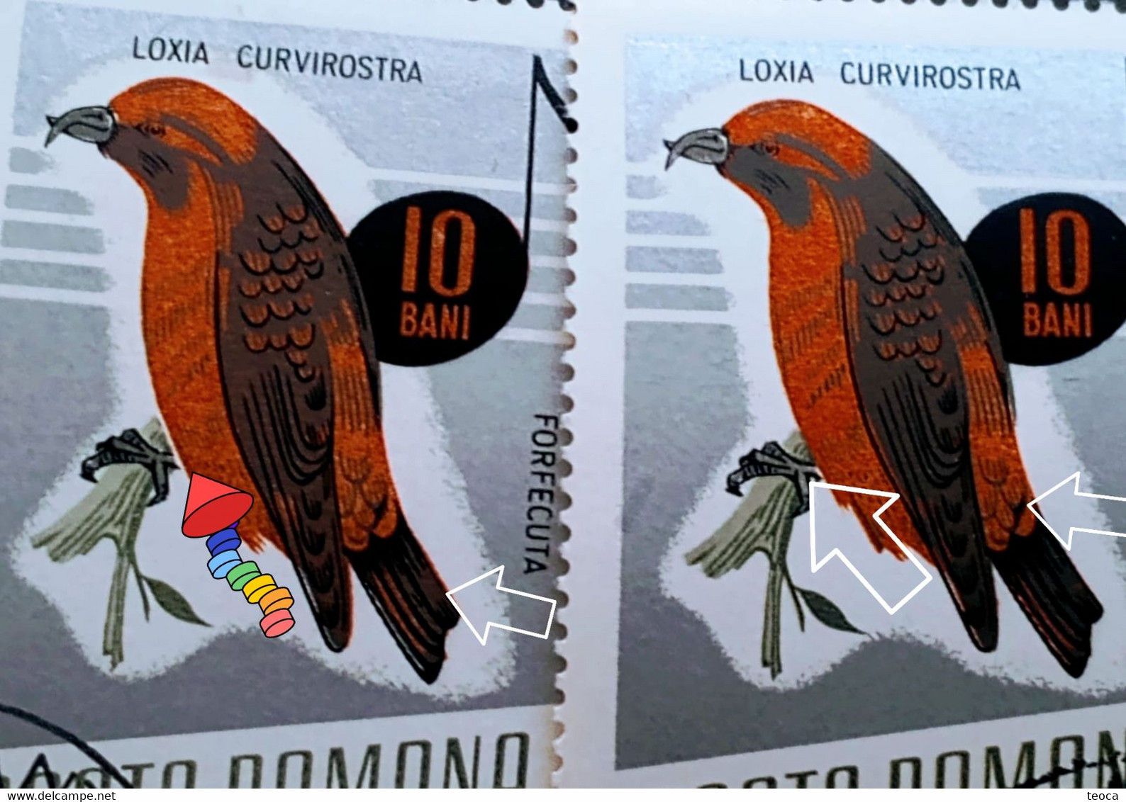 Errors Romania 1966 # MI 2501 Printed  With Displaced Bird , Songbirds - Variétés Et Curiosités