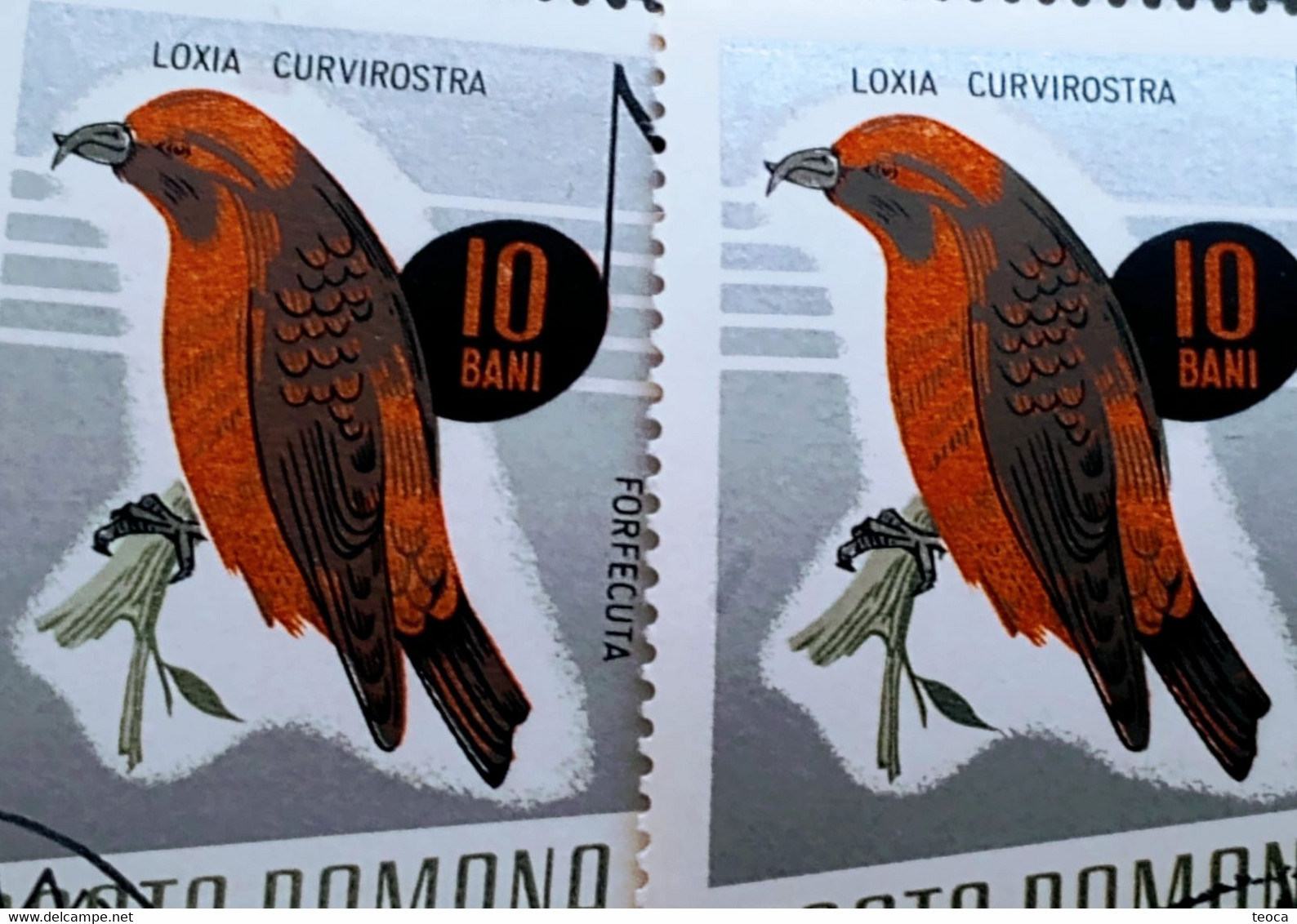 Errors Romania 1966 # MI 2501 Printed  With Displaced Bird , Songbirds - Errors, Freaks & Oddities (EFO)