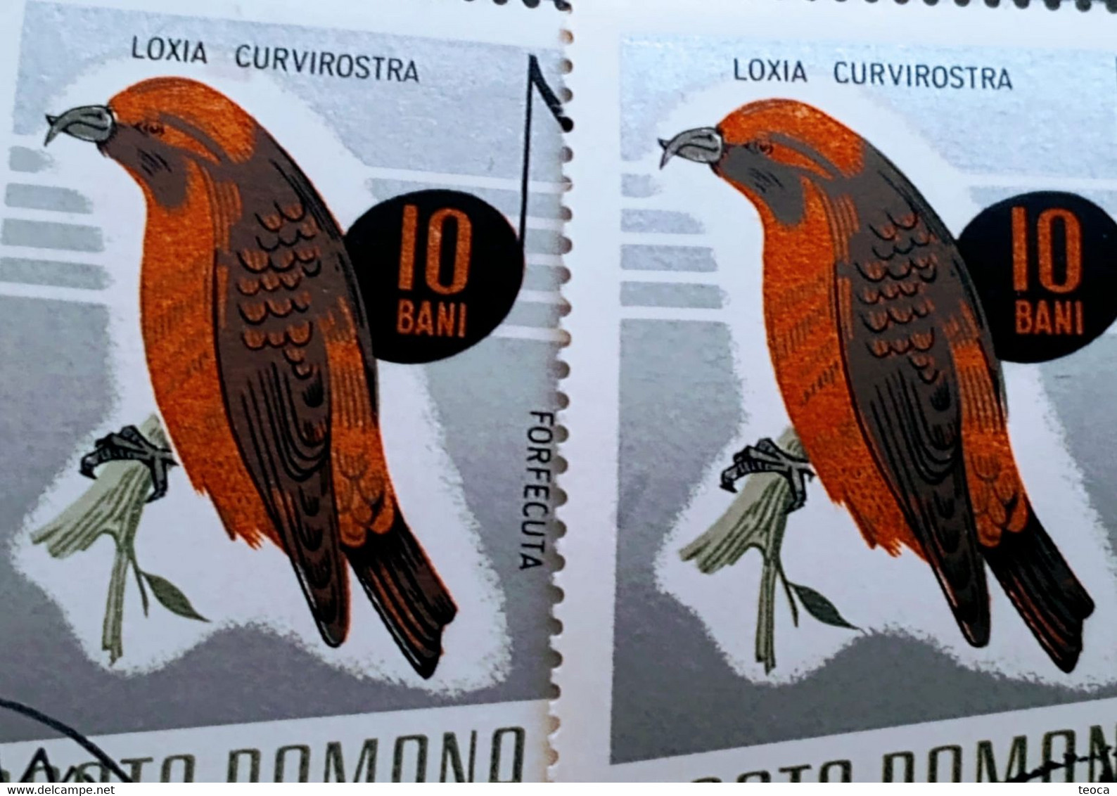 Errors Romania 1966 # MI 2501 Printed  With Displaced Bird , Songbirds - Abarten Und Kuriositäten