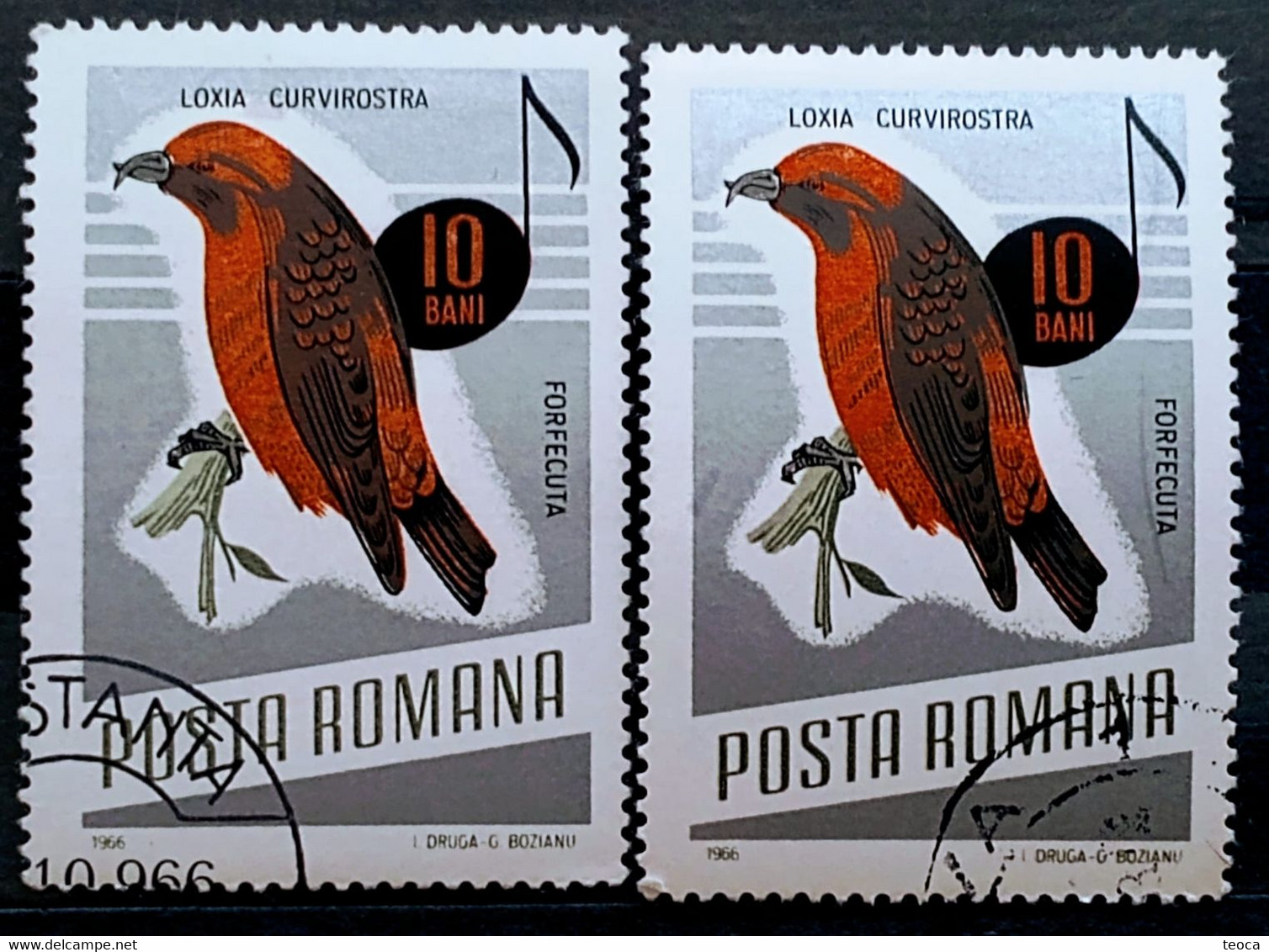 Errors Romania 1966 # MI 2501 Printed  With Displaced Bird , Songbirds - Plaatfouten En Curiosa