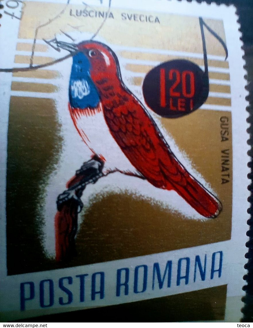 Errors Romania 1966 # MI 2505 Printed  With Displaced Bird , Songbirds - Plaatfouten En Curiosa