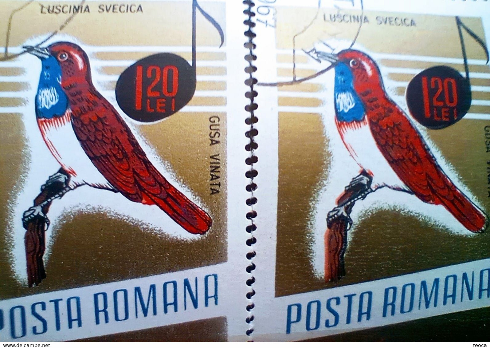 Errors Romania 1966 # MI 2505 Printed  With Displaced Bird , Songbirds - Varietà & Curiosità