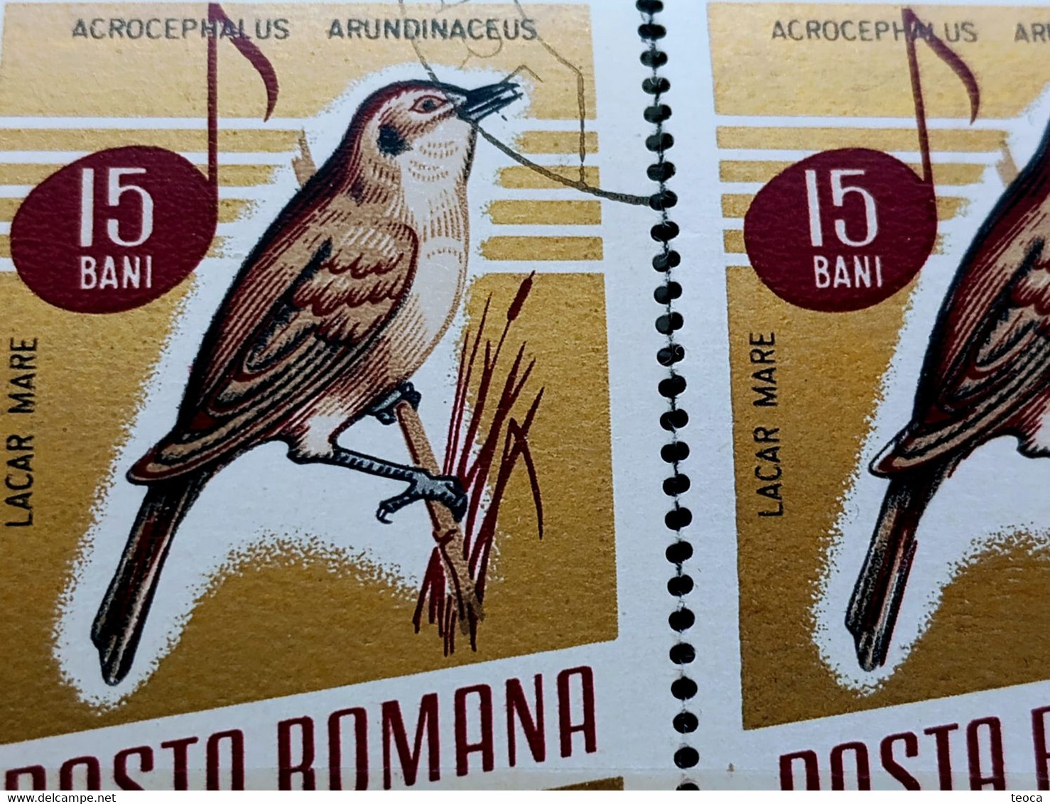 Errors Romania 1966 # MI 2502 Printed  With Displaced Bird , Songbirds - Plaatfouten En Curiosa
