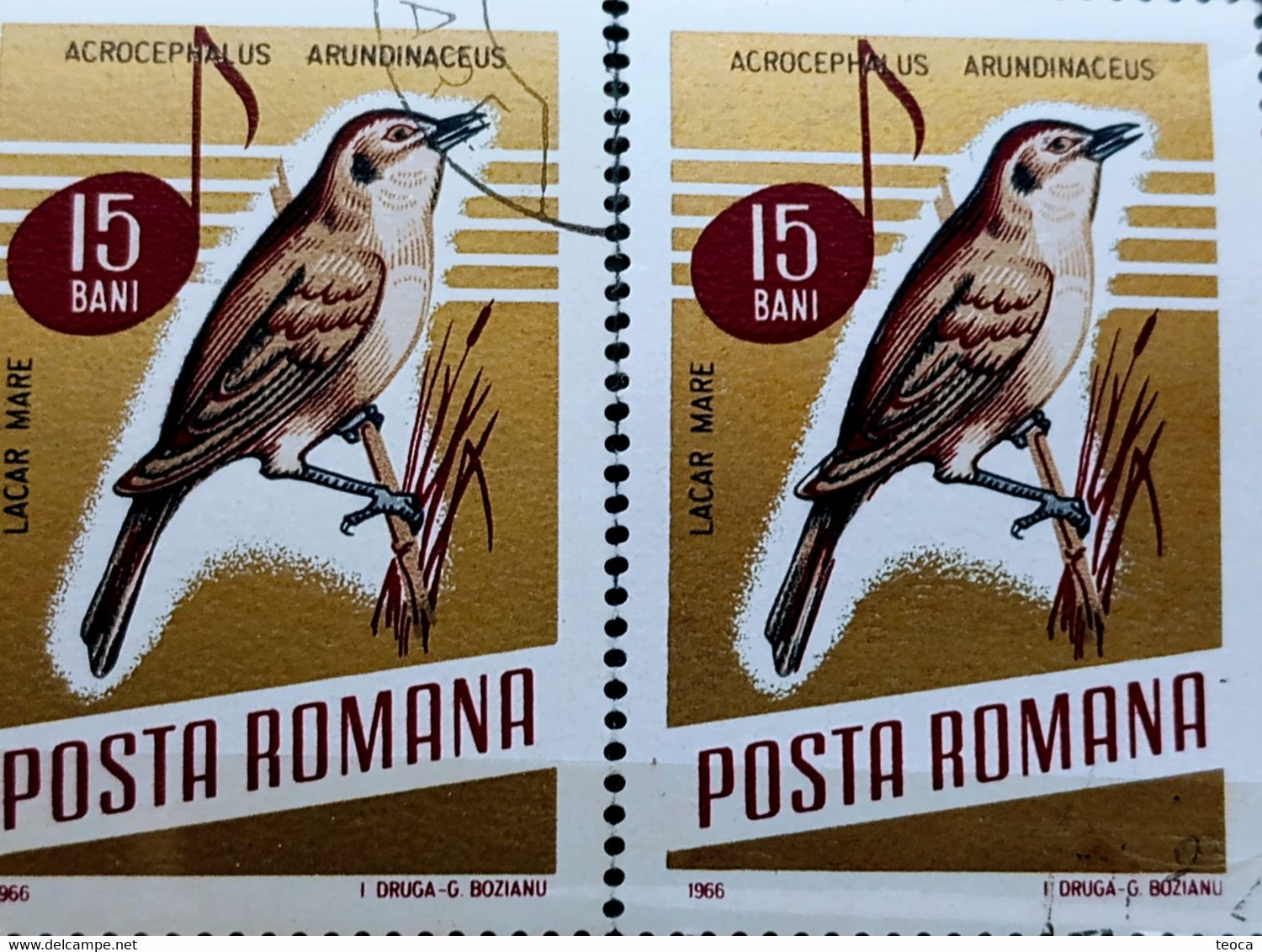 Errors Romania 1966 # MI 2502 Printed  With Displaced Bird , Songbirds - Varietà & Curiosità