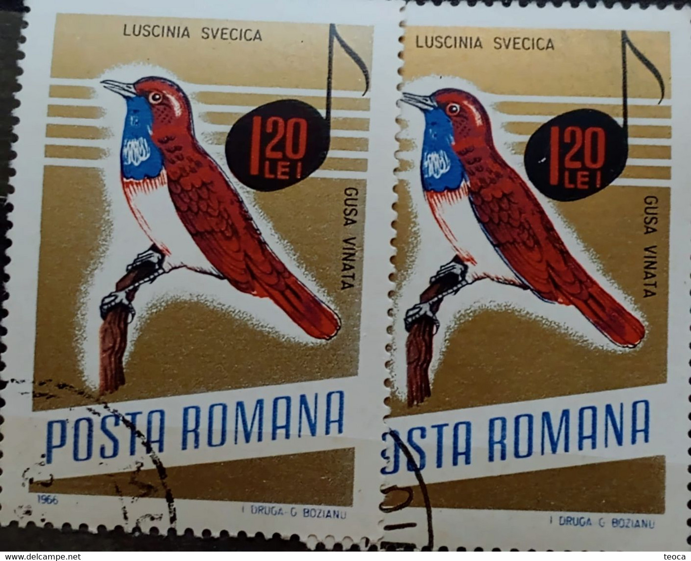 Errors Romania 1966 # MI 2505 Printed  With Displaced Bird , Songbirds - Errors, Freaks & Oddities (EFO)