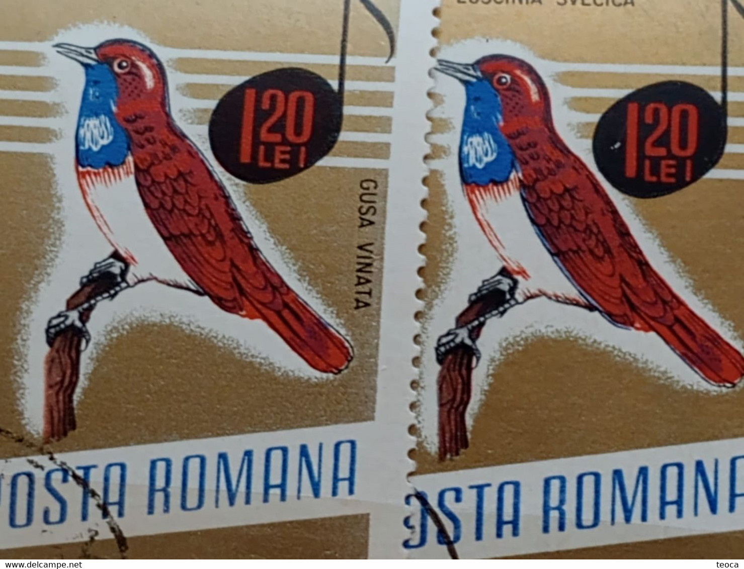 Errors Romania 1966 # MI 2505 Printed  With Displaced Bird , Songbirds - Abarten Und Kuriositäten