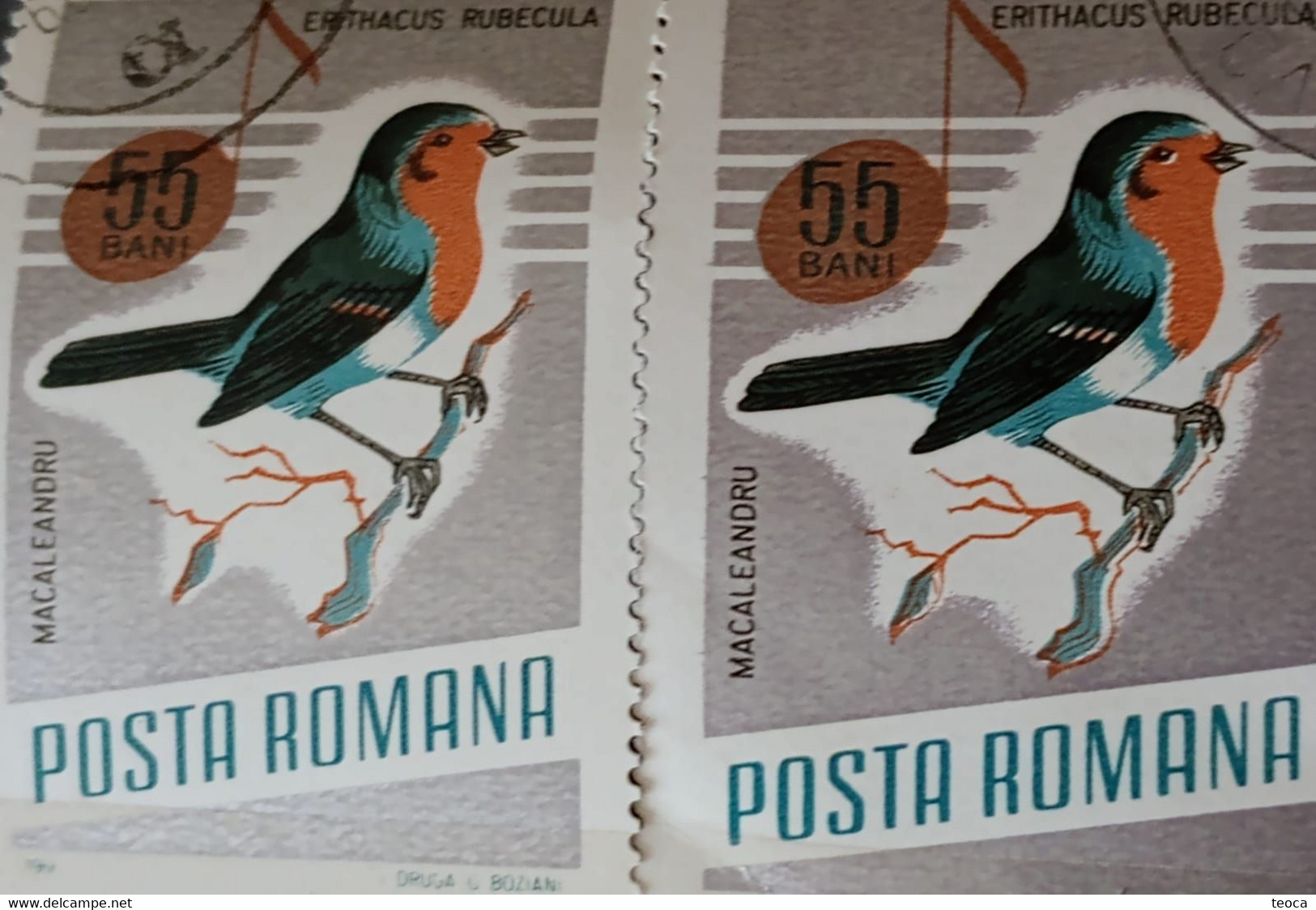 Errors Romania 1966 # MI 2504 Printed  With Displaced Bird , Songbirds - Abarten Und Kuriositäten