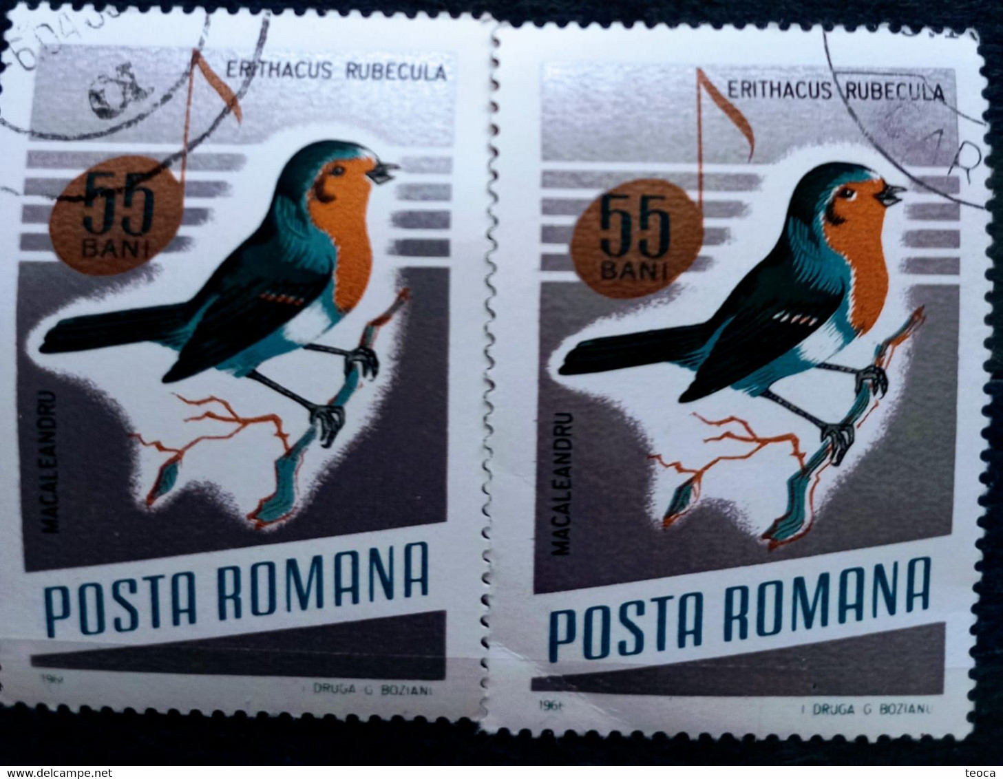 Errors Romania 1966 # MI 2504 Printed  With Displaced Bird , Songbirds - Variétés Et Curiosités