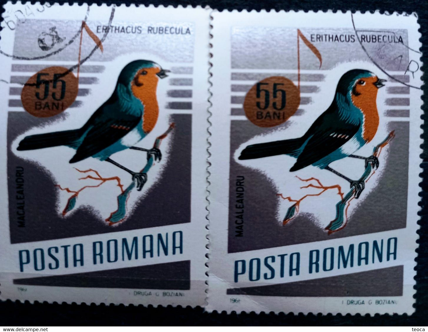 Errors Romania 1966 # MI 2504 Printed  With Displaced Bird , Songbirds - Abarten Und Kuriositäten