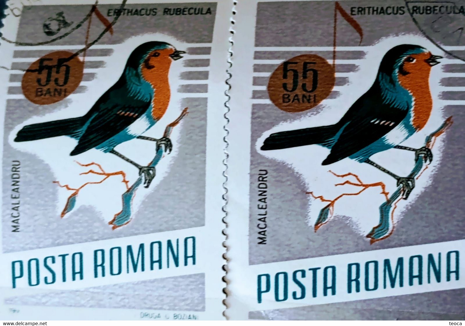 Errors Romania 1966 # MI 2504 Printed  With Displaced Bird , Songbirds - Plaatfouten En Curiosa