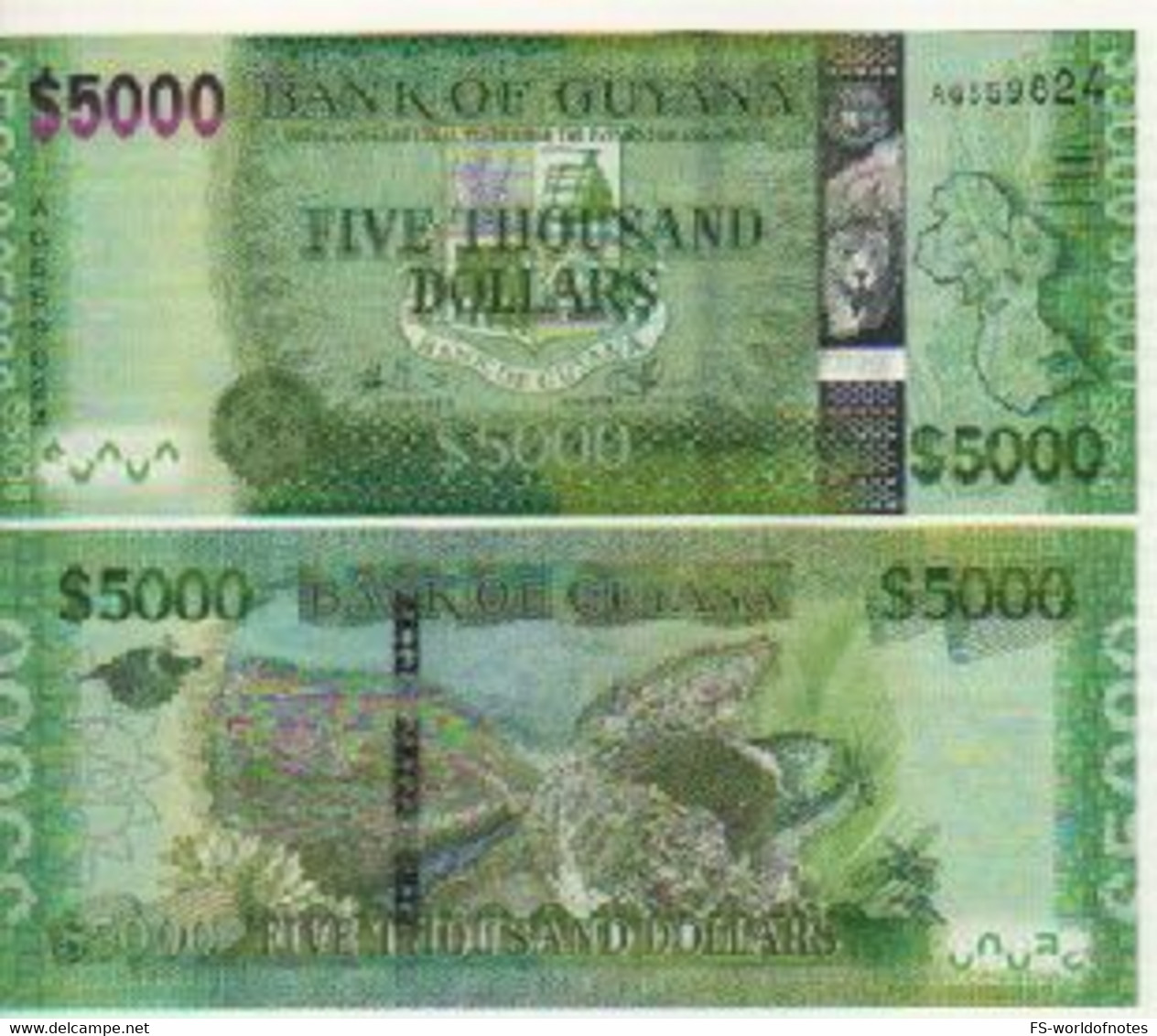 GUYANA   5'000 Dollars  P40a   UNC   (ND  2011 -  2018   Map + Mountains/bird On Back ) - Guyana