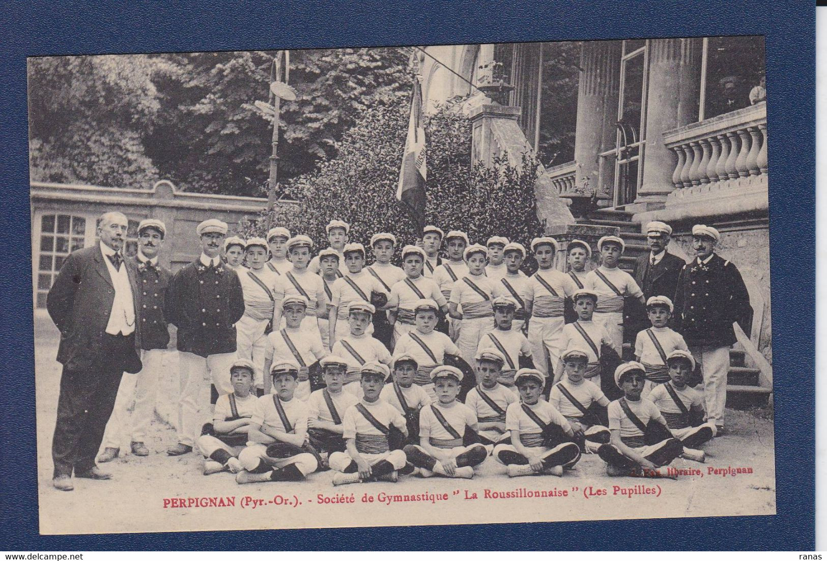 CPA [66] Pyrénées Orientales > Perpignan Gymnastique Non Circulé - Perpignan