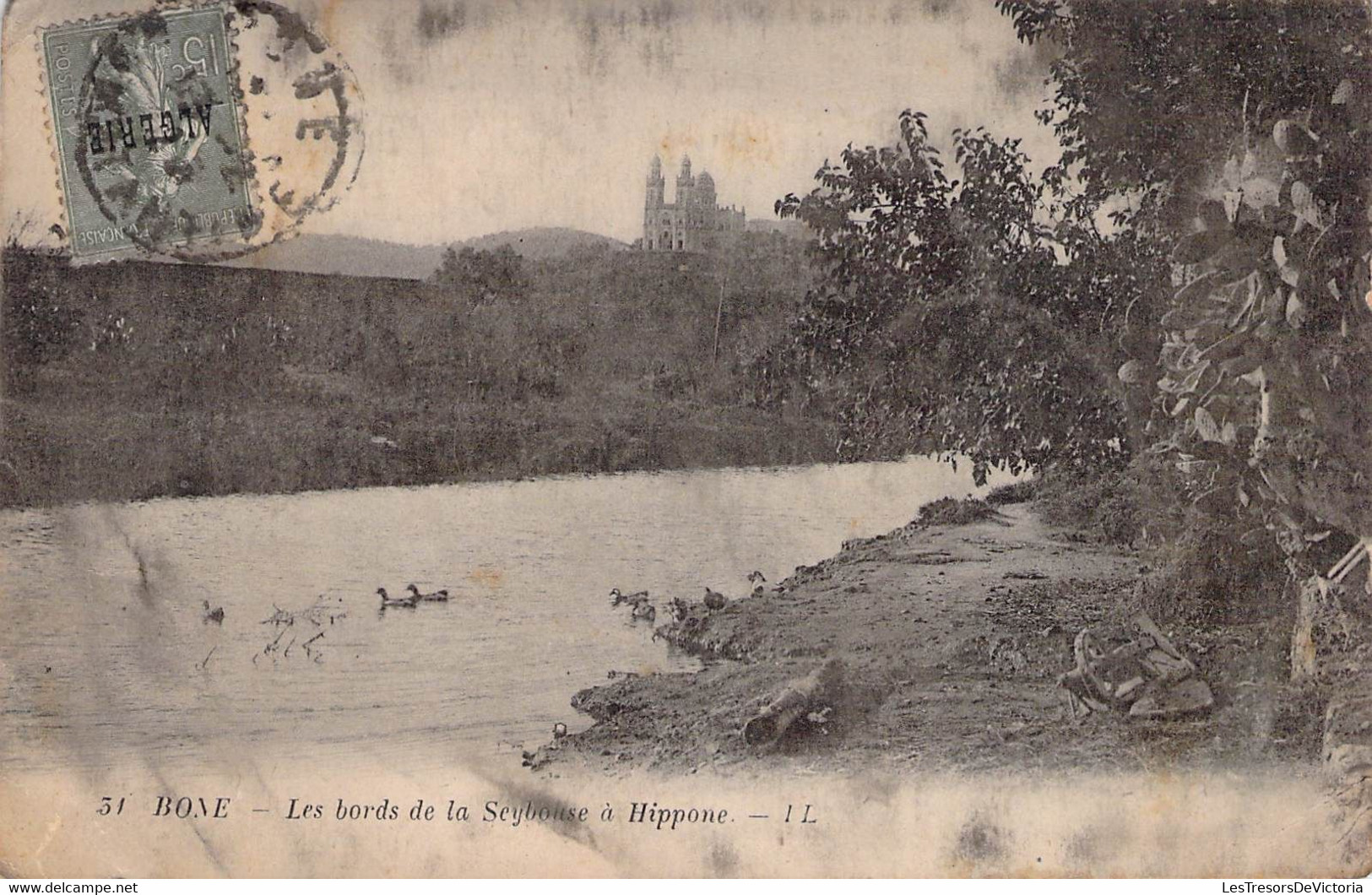 CPA - ALGERIE - BONES - Les Bords De La Seybouse à Hippone - Canard - LEVY FILS PARIS - Annaba (Bône)