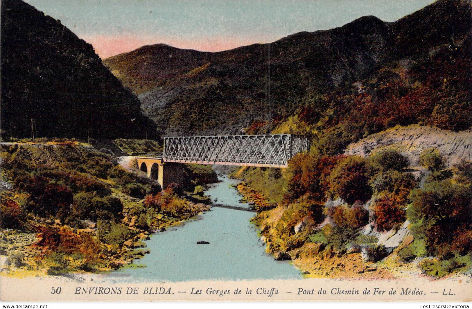 CPA - ALGERIE - BLIDA - Les Gorges De La Chiffa - Colorisée - Paysage - Edit. LEVY Et FILS PARIS - Blida