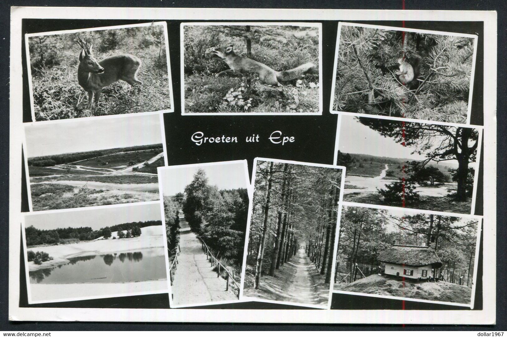 Groeten Uit Epe  -  Used  - 2 Scans For Condition.(Originalscan !!) - Epe