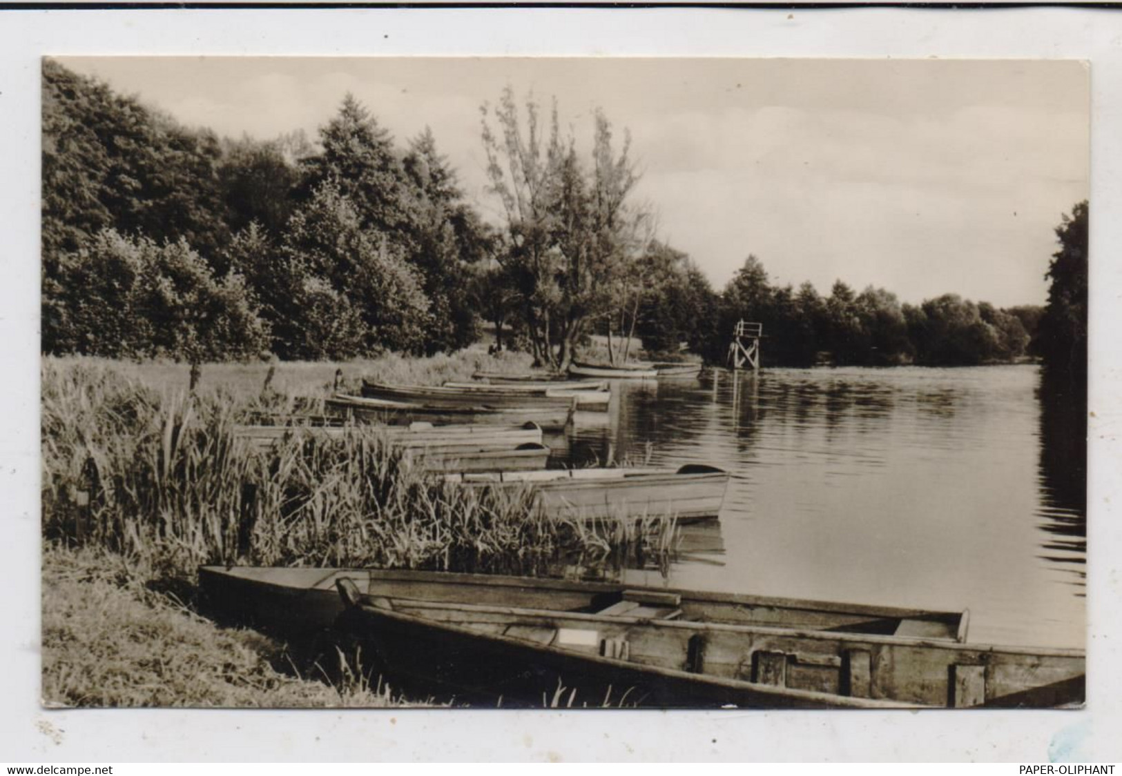 0-1241 BERKENBRÜCK, An Der Spree, Ruderboote, 1960 - Beeskow