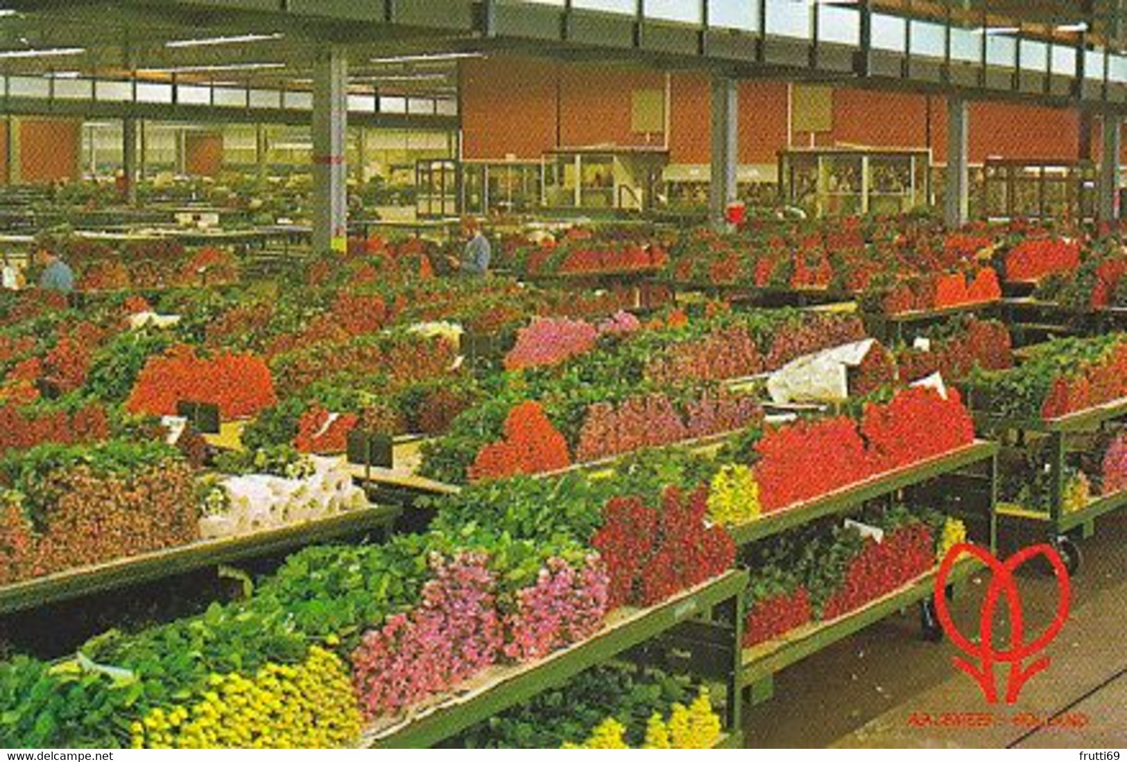 AK 071556 NETHERLANDS - Aalsmeer - Cutflower Section United Flower Markets - Aalsmeer