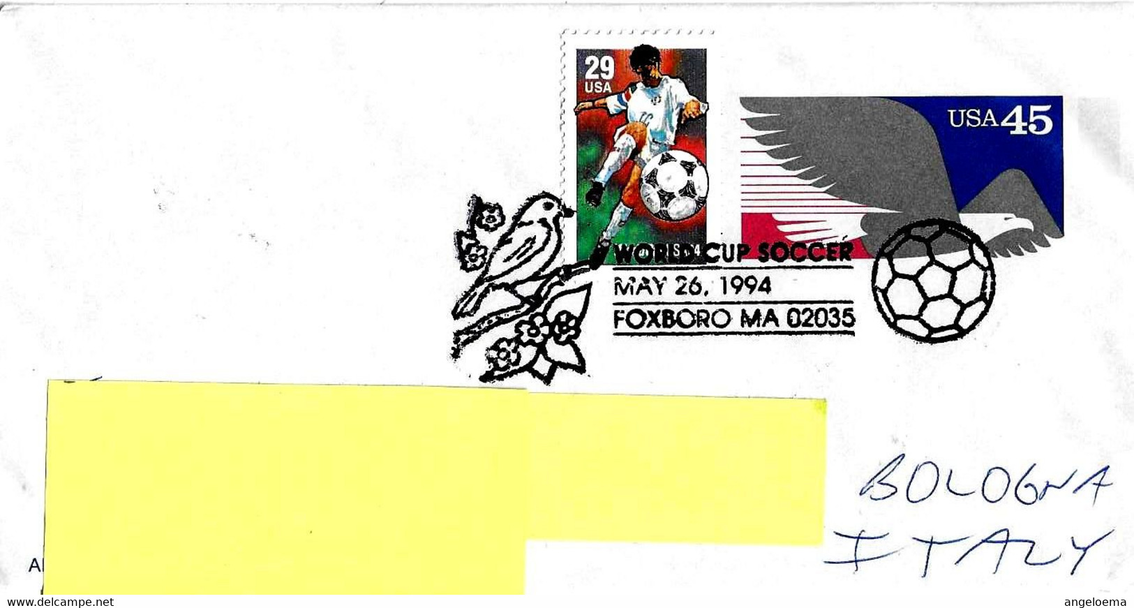 USA - 1994 FOXBORO Coppa Del Mondo Calcio World Championship Soccer (uccello, Pallone) Su Aerogramme Viaggiato - 8461 - Cernícalo