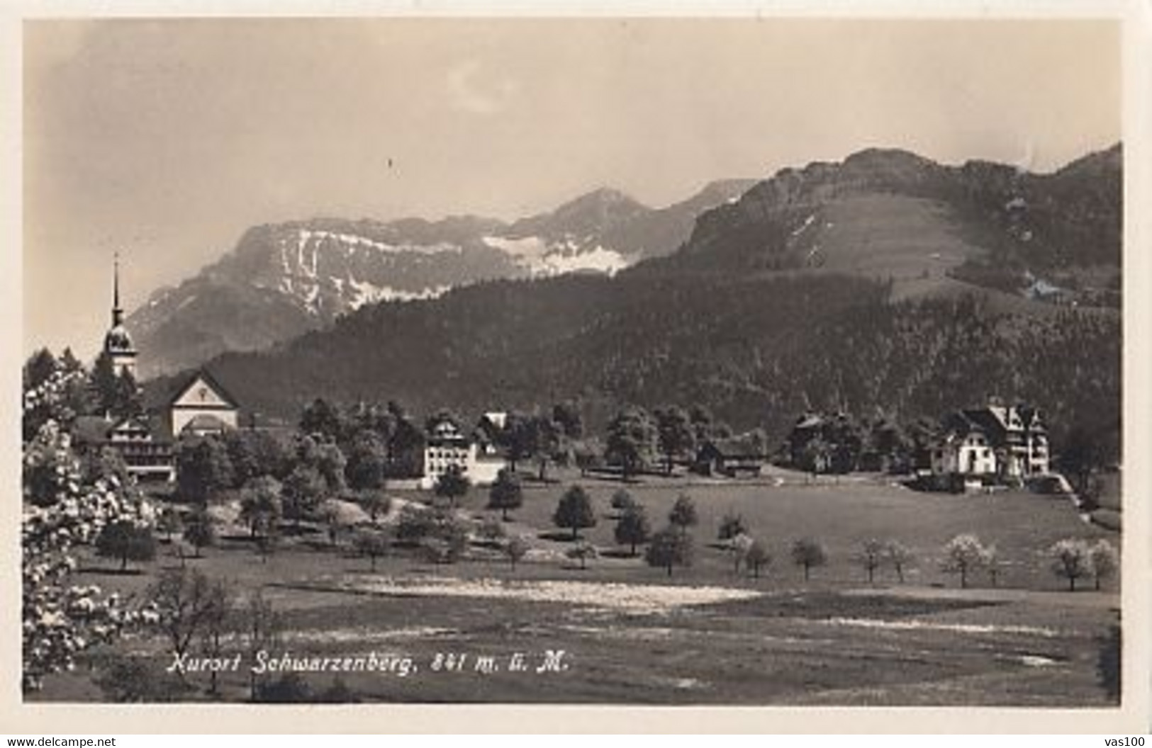 CPA KURORT SCHWARZENBERG- PARTIAL PANORAMA, MOUNTAINS - Schwarzenberg