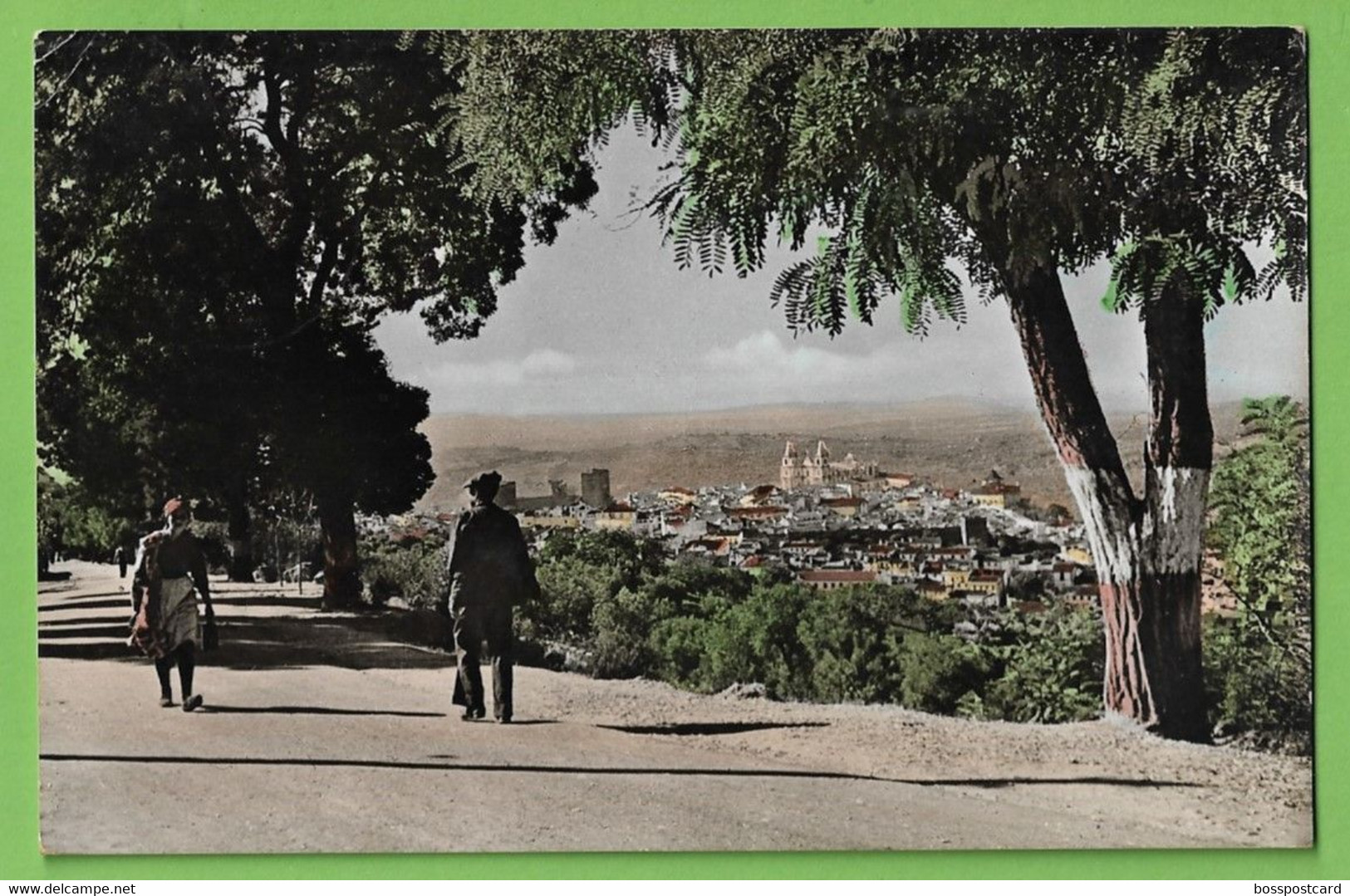 Portalegre - Vista Da Fonte Dos Amores - Portugal (Fotográfico) - Portalegre