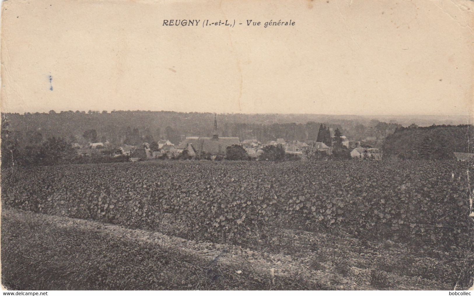 REUGNY (Indre-et-Loire): Vue Générale - Reugny